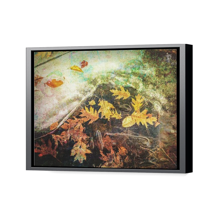 Thumbnail for Canvas - Black Floating Frame