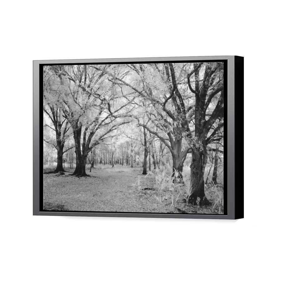 Thumbnail for Canvas - Black Floating Frame
