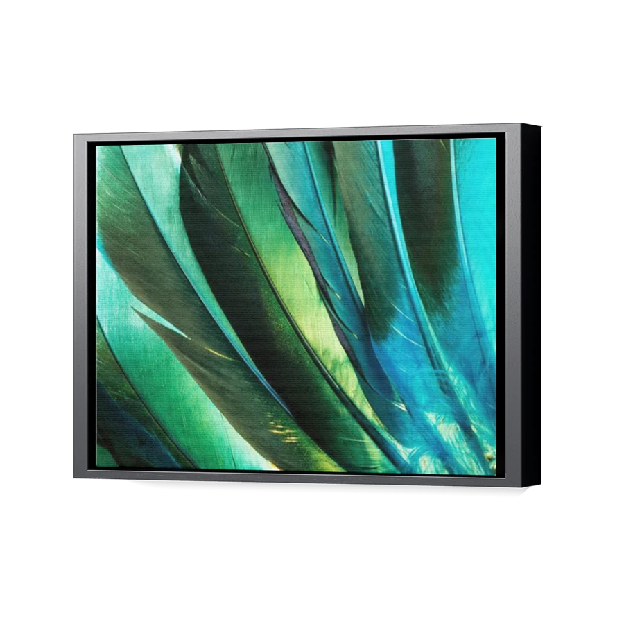 Thumbnail for Canvas - Black Floating Frame
