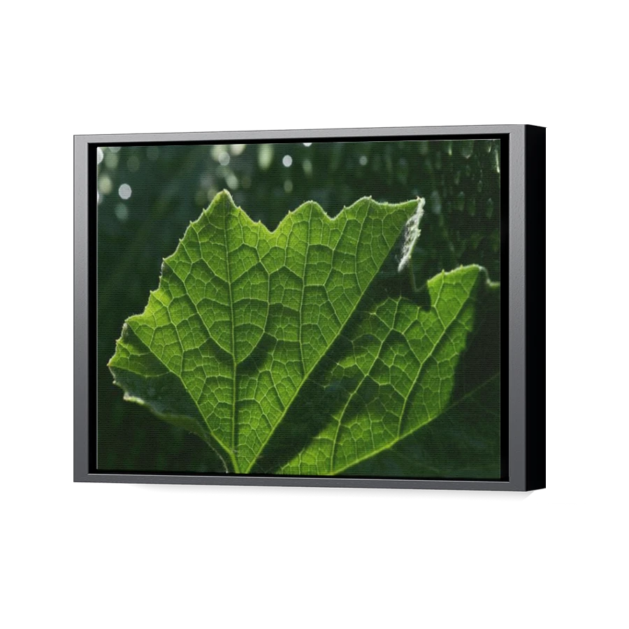 Thumbnail for Canvas - Black Floating Frame