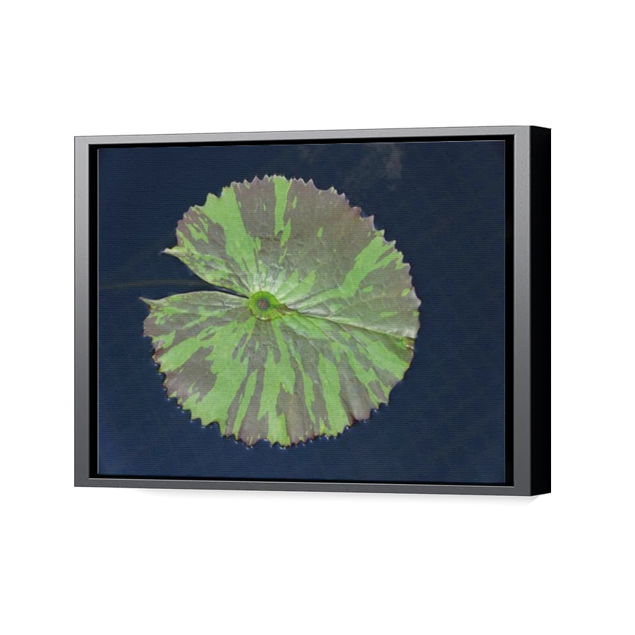 Thumbnail for Canvas - Black Floating Frame