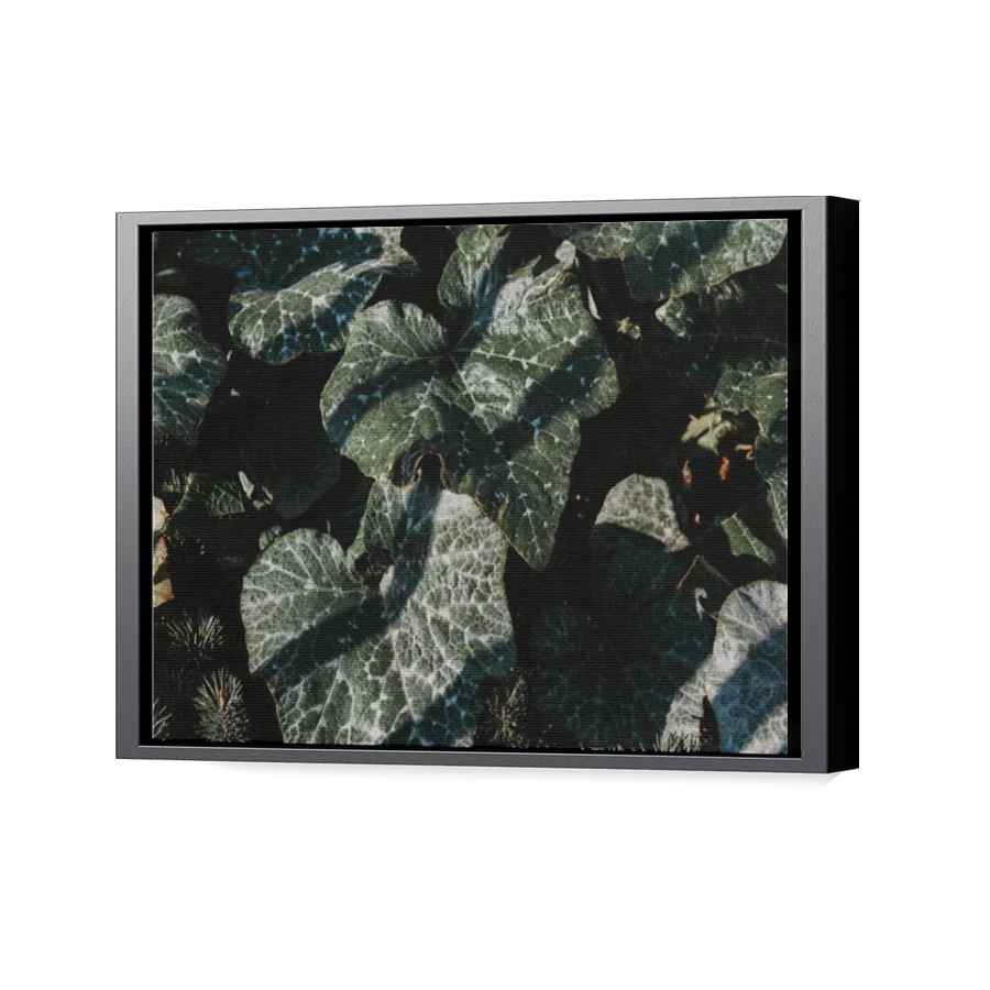 Thumbnail for Canvas - Black Floating Frame