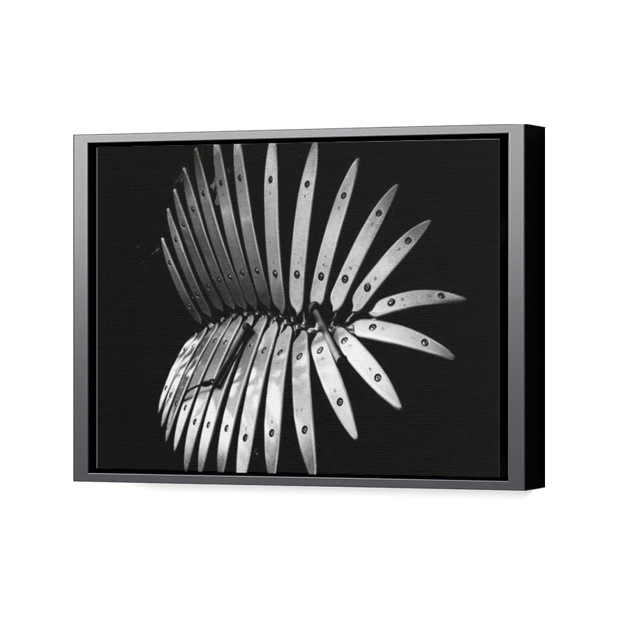 Thumbnail for Canvas - Black Floating Frame