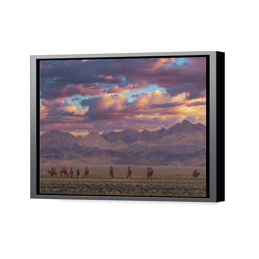 Thumbnail for Canvas - Black Floating Frame