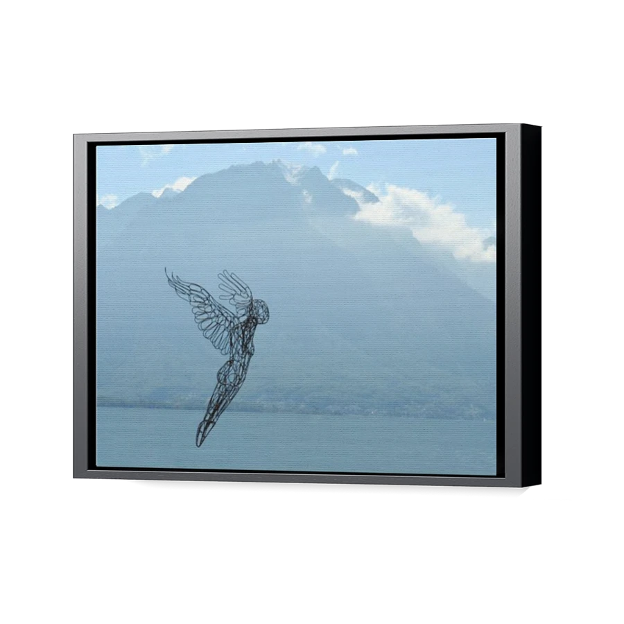 Thumbnail for Canvas - Black Floating Frame