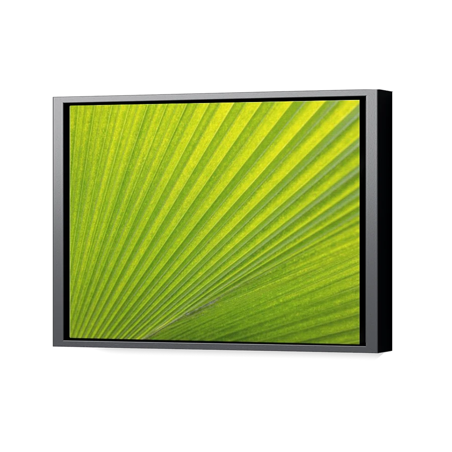 Thumbnail for Canvas - Black Floating Frame