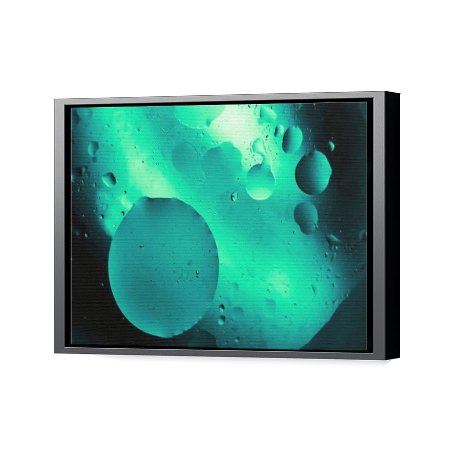 Thumbnail for Canvas - Black Floating Frame