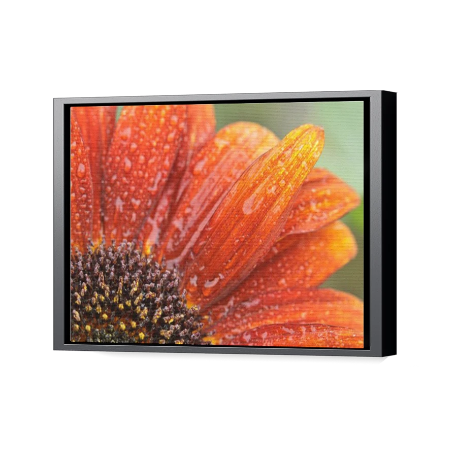 Thumbnail for Canvas - Black Floating Frame