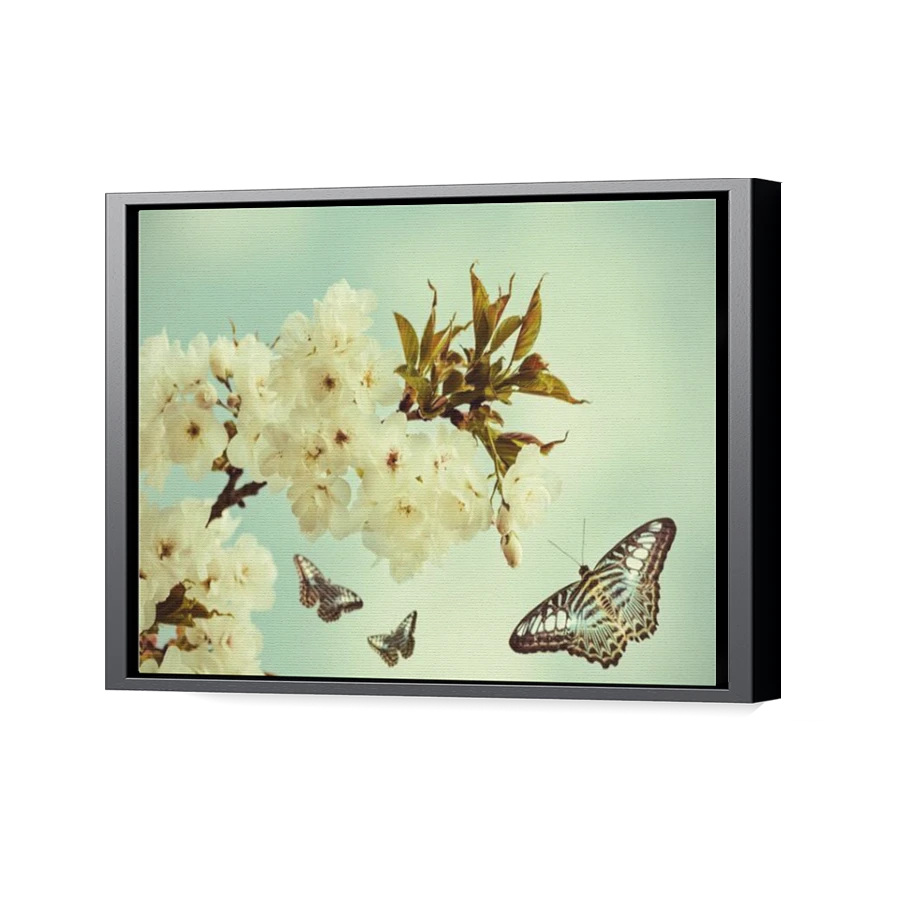 Thumbnail for Canvas - Black Floating Frame