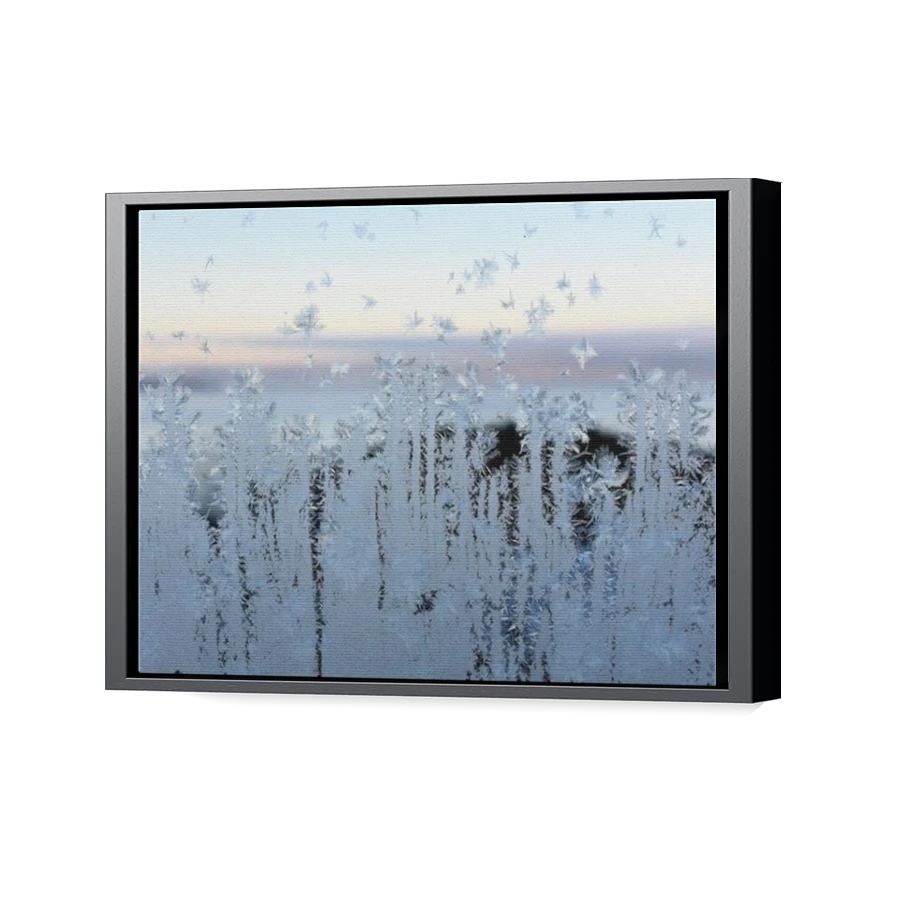 Thumbnail for Canvas - Black Floating Frame