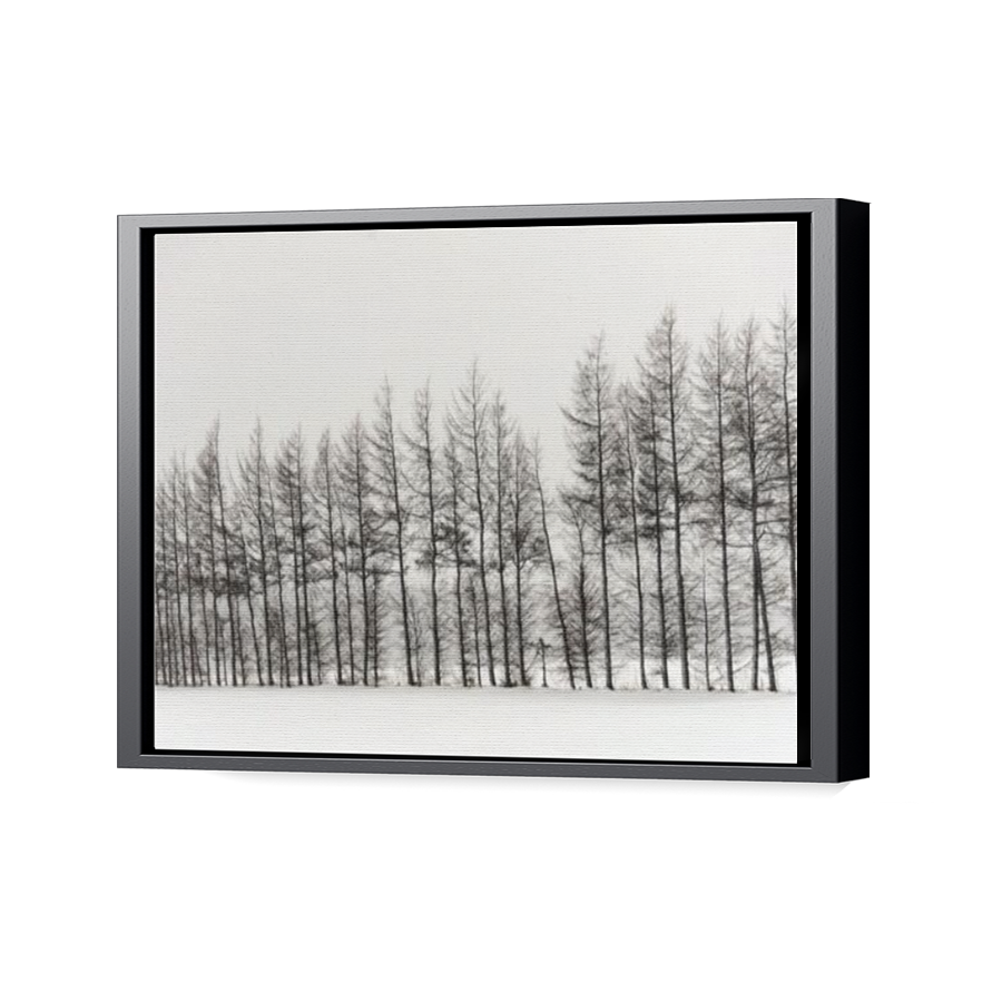 Thumbnail for Canvas - Black Floating Frame