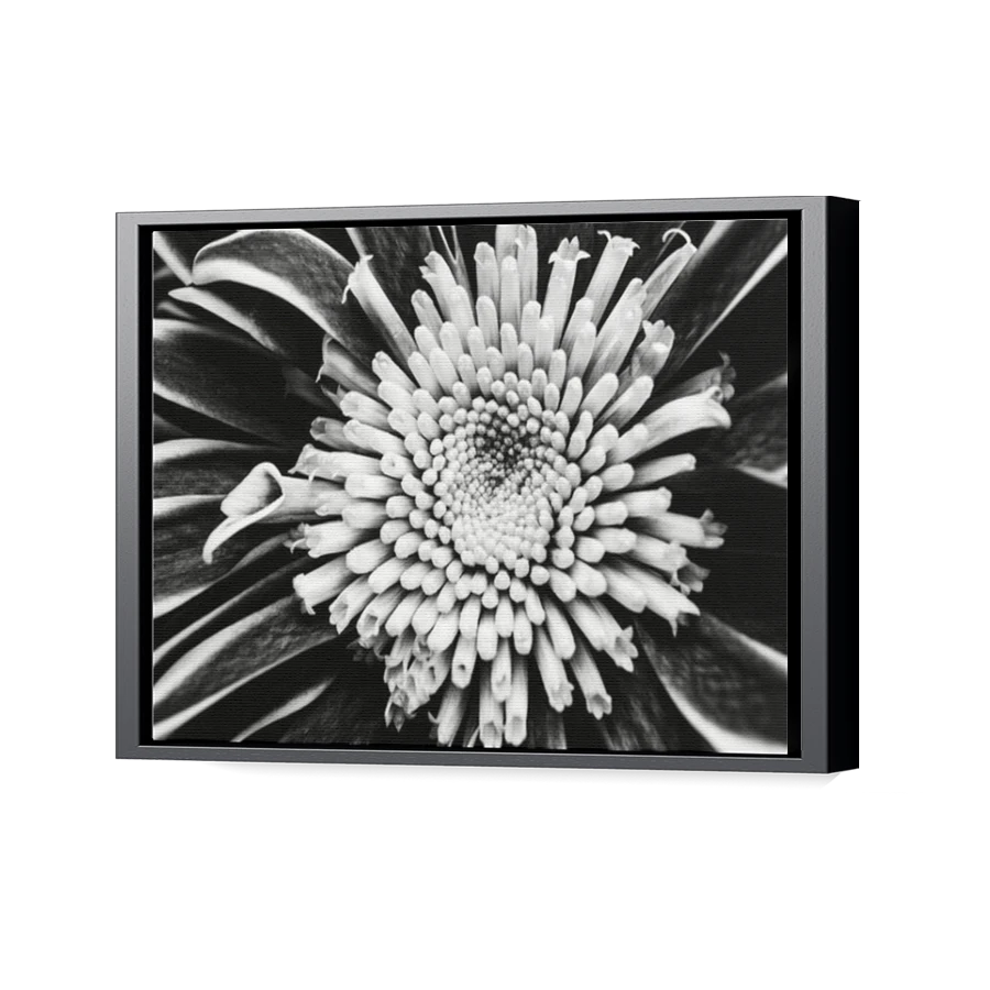 Thumbnail for Canvas - Black Floating Frame