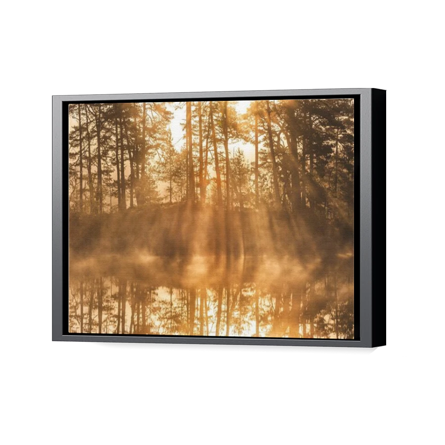 Thumbnail for Canvas - Black Floating Frame