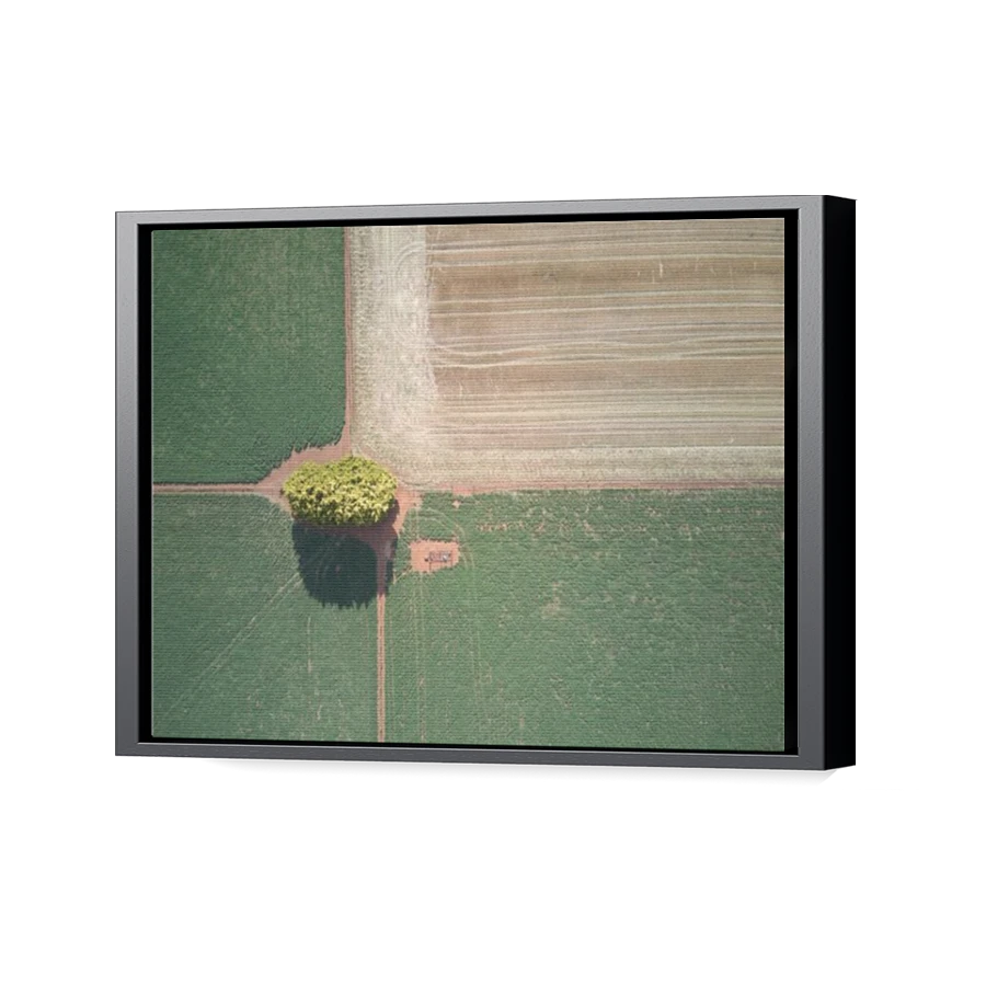 Thumbnail for Canvas - Black Floating Frame