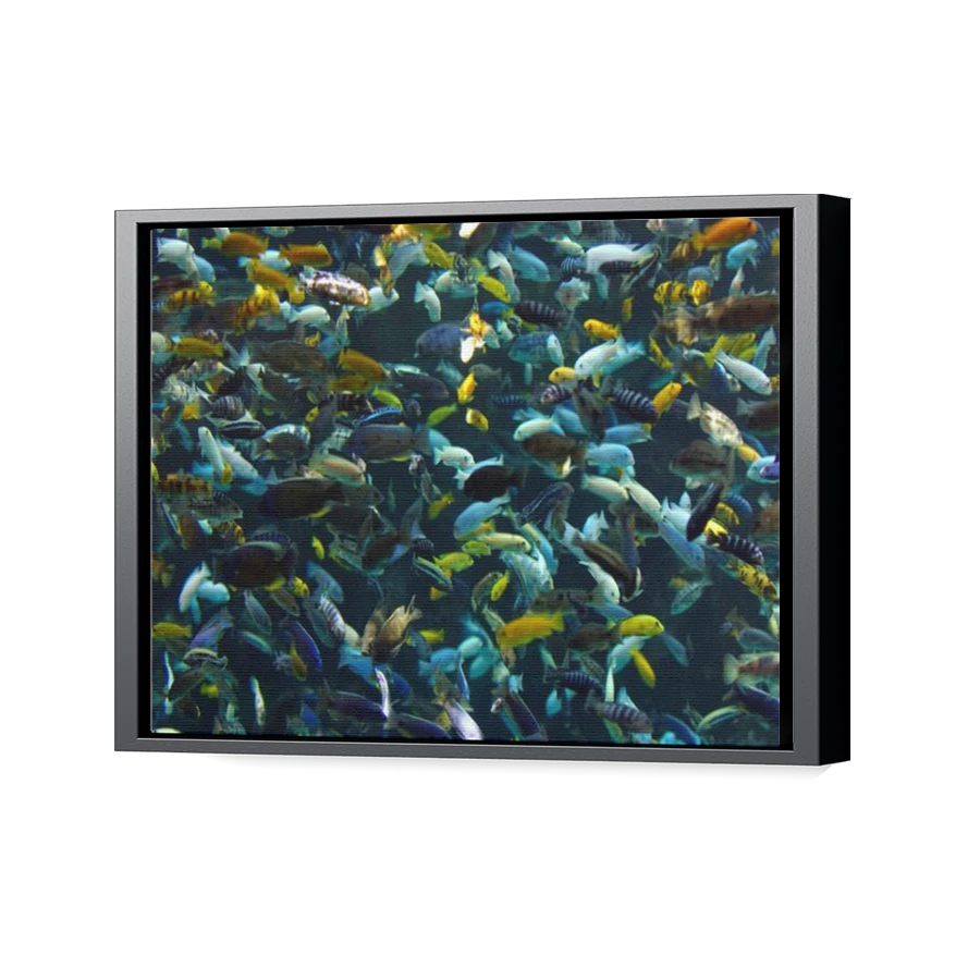 Thumbnail for Canvas - Black Floating Frame