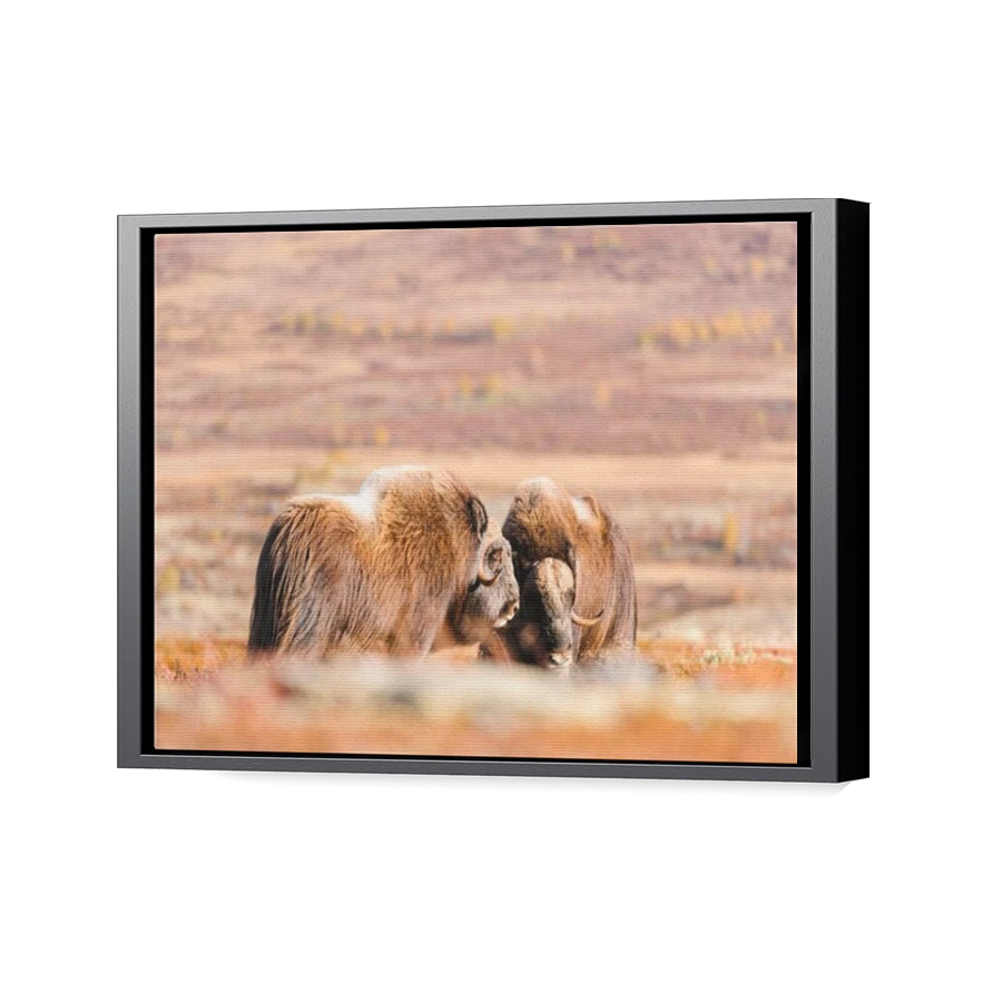 Thumbnail for Canvas - Black Floating Frame