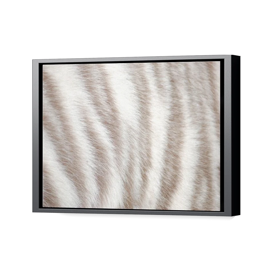 Thumbnail for Canvas - Black Floating Frame
