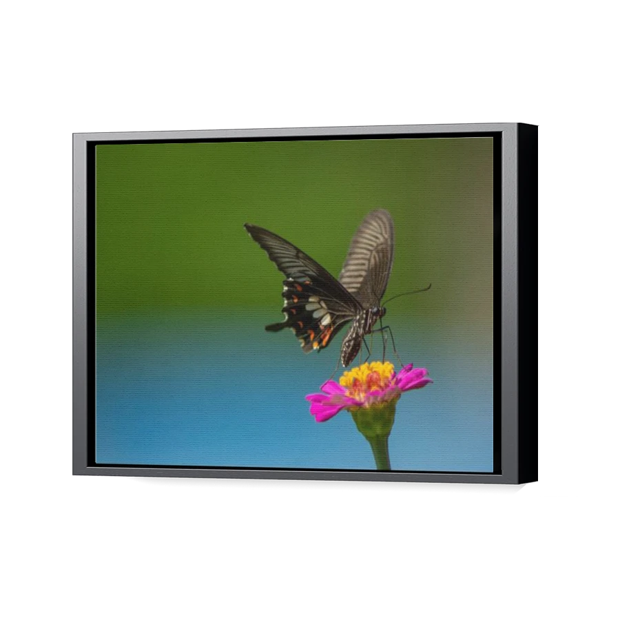 Thumbnail for Canvas - Black Floating Frame