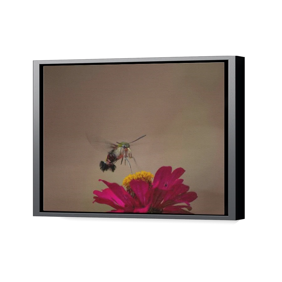 Thumbnail for Canvas - Black Floating Frame