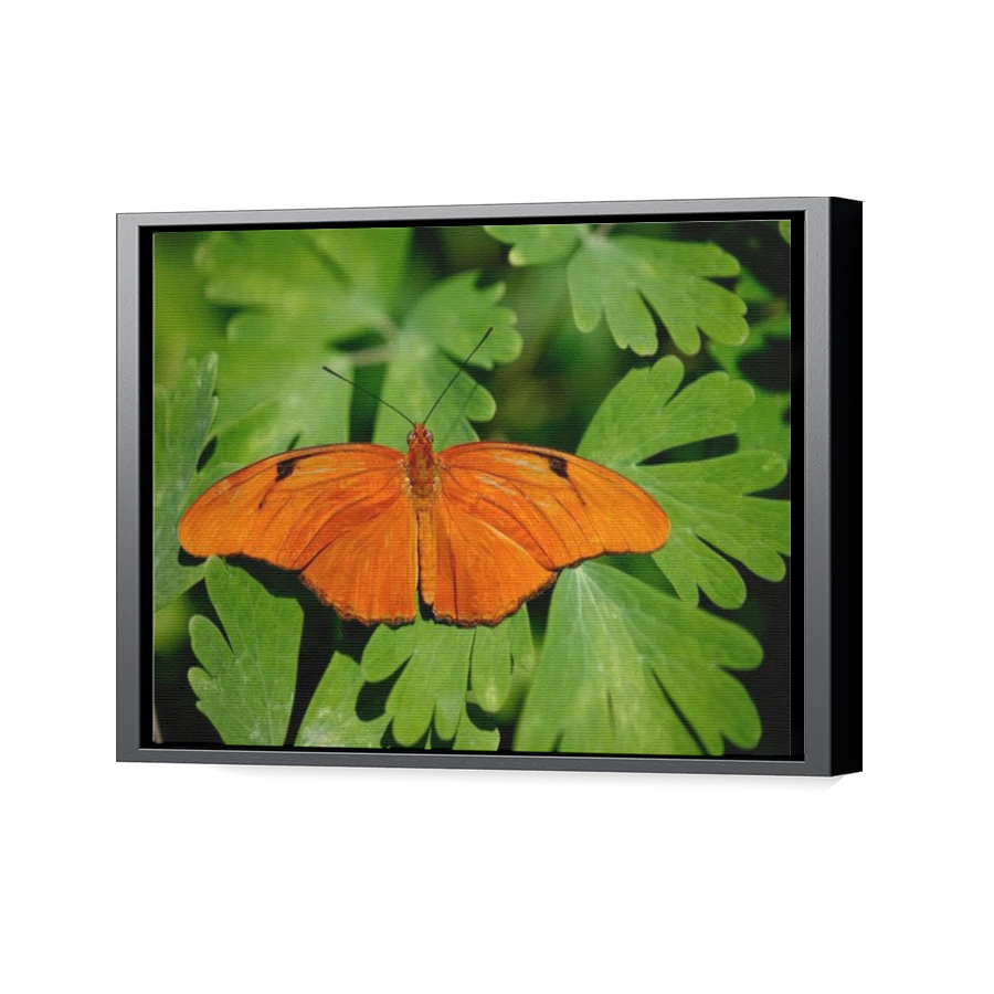 Thumbnail for Canvas - Black Floating Frame