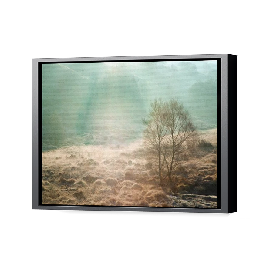 Thumbnail for Canvas - Black Floating Frame