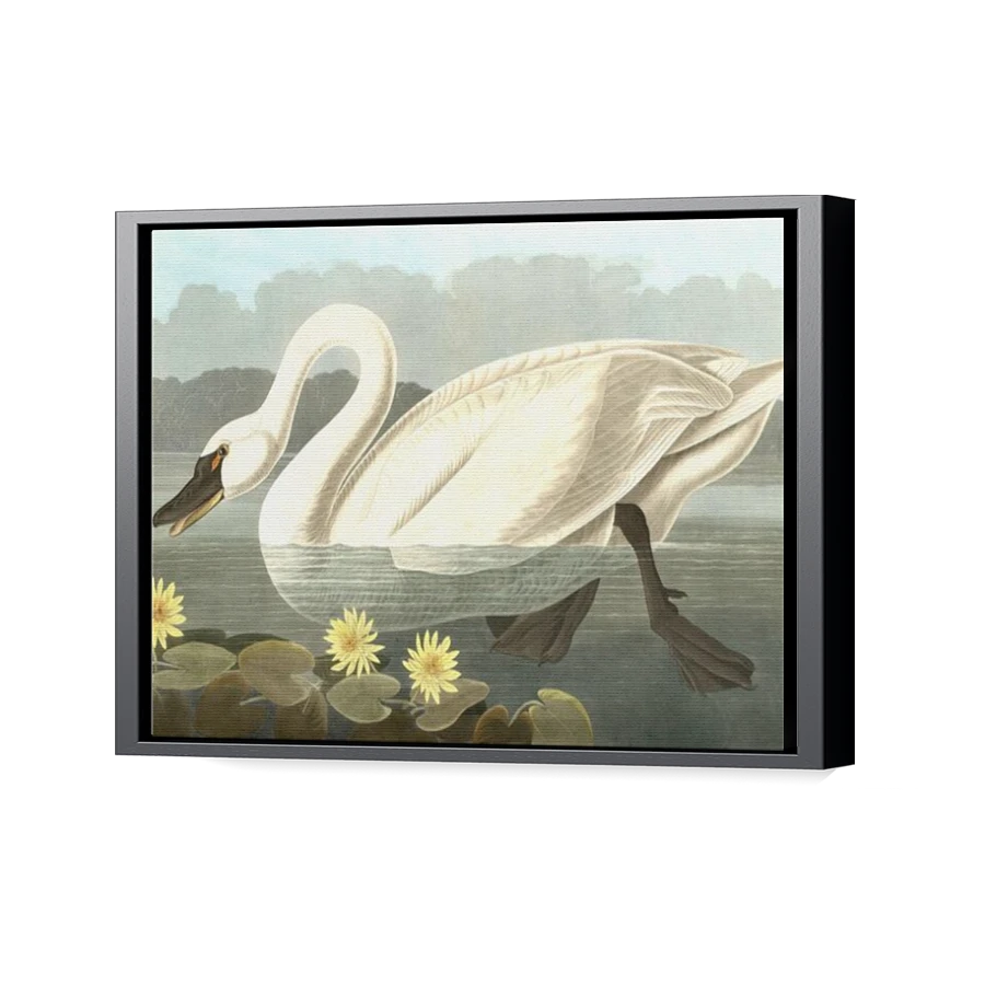 Thumbnail for Canvas - Black Floating Frame