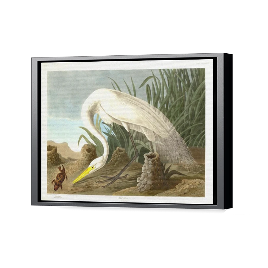 Thumbnail for Canvas - Black Floating Frame