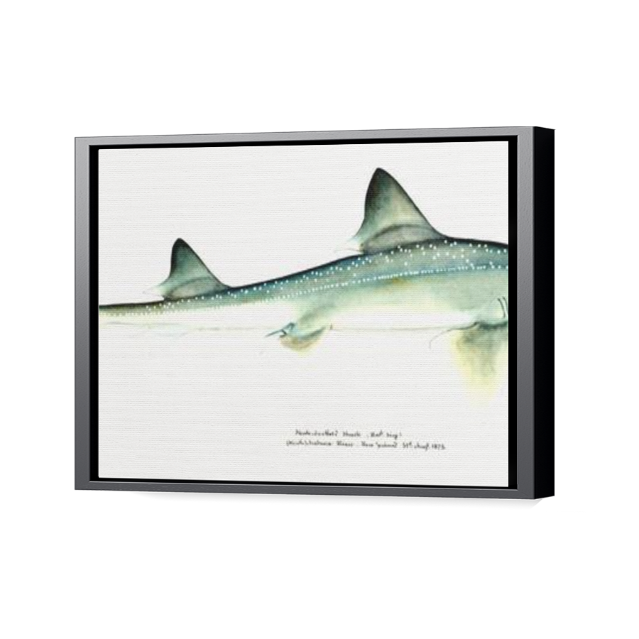 Thumbnail for Canvas - Black Floating Frame
