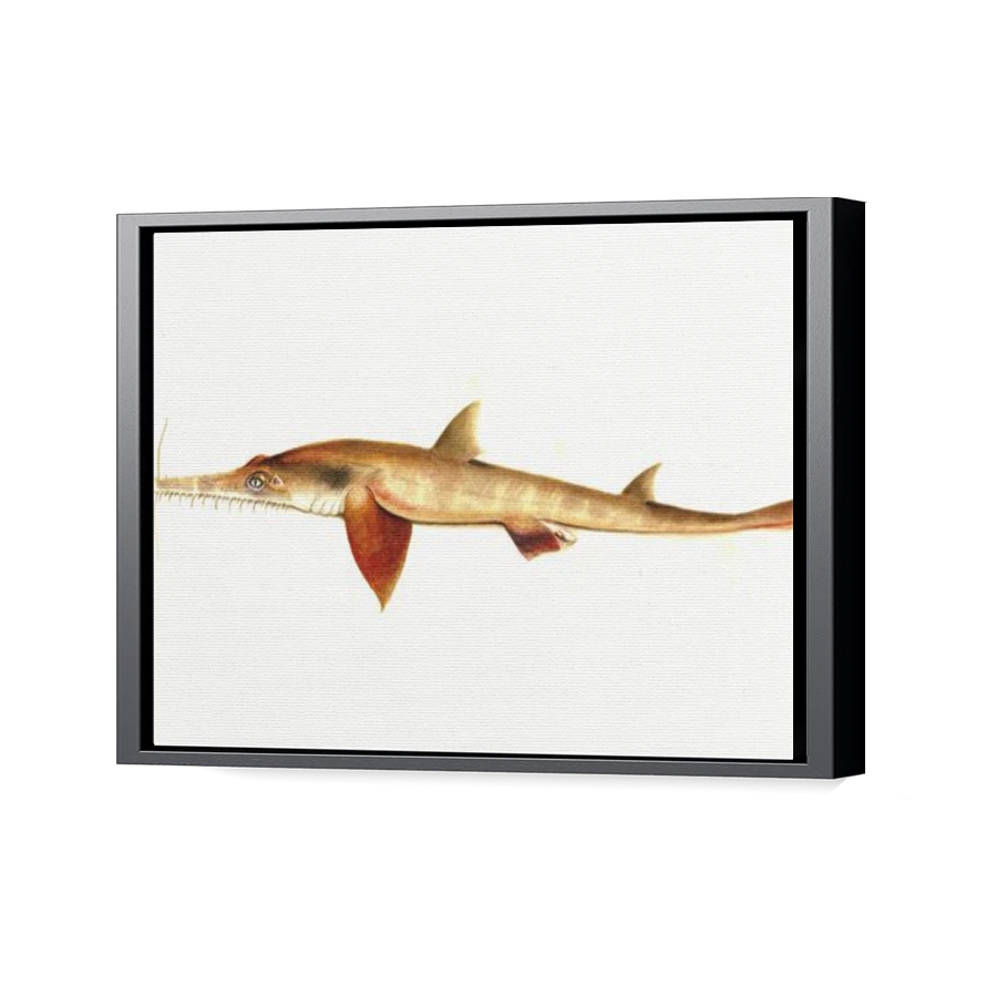 Thumbnail for Canvas - Black Floating Frame