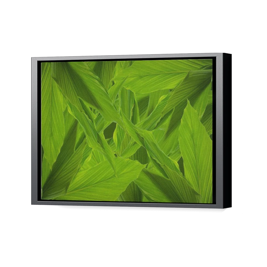 Thumbnail for Canvas - Black Floating Frame