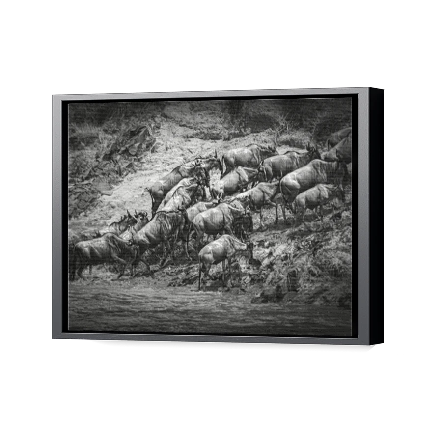 Thumbnail for Canvas - Black Floating Frame