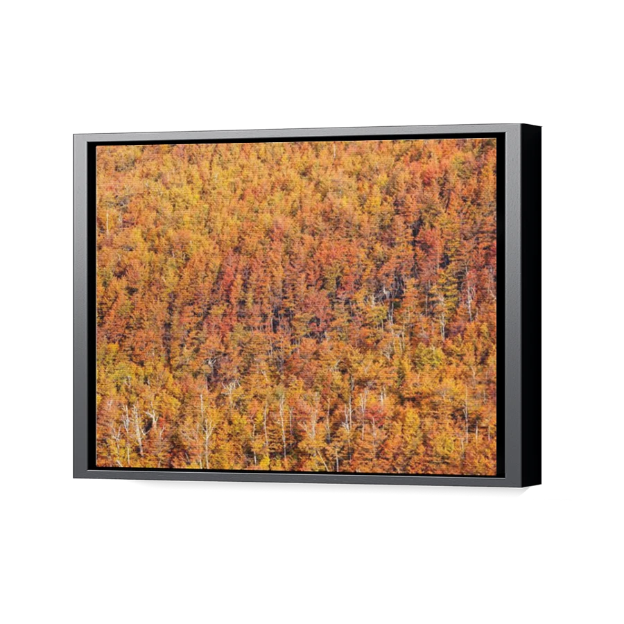 Thumbnail for Canvas - Black Floating Frame