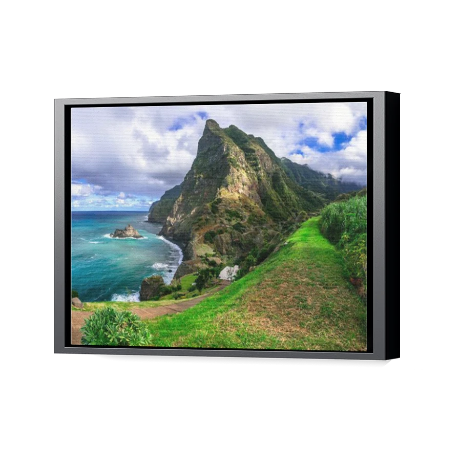 Thumbnail for Canvas - Black Floating Frame