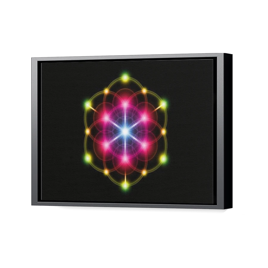 Thumbnail for Canvas - Black Floating Frame