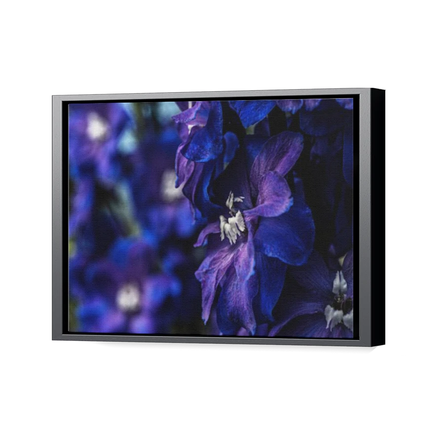 Thumbnail for Canvas - Black Floating Frame