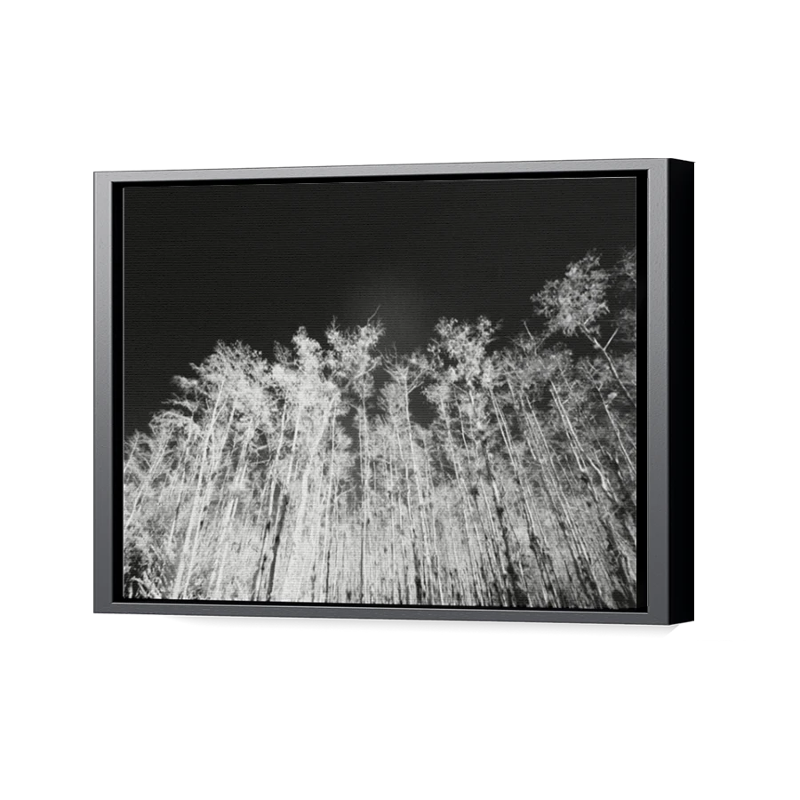 Thumbnail for Canvas - Black Floating Frame
