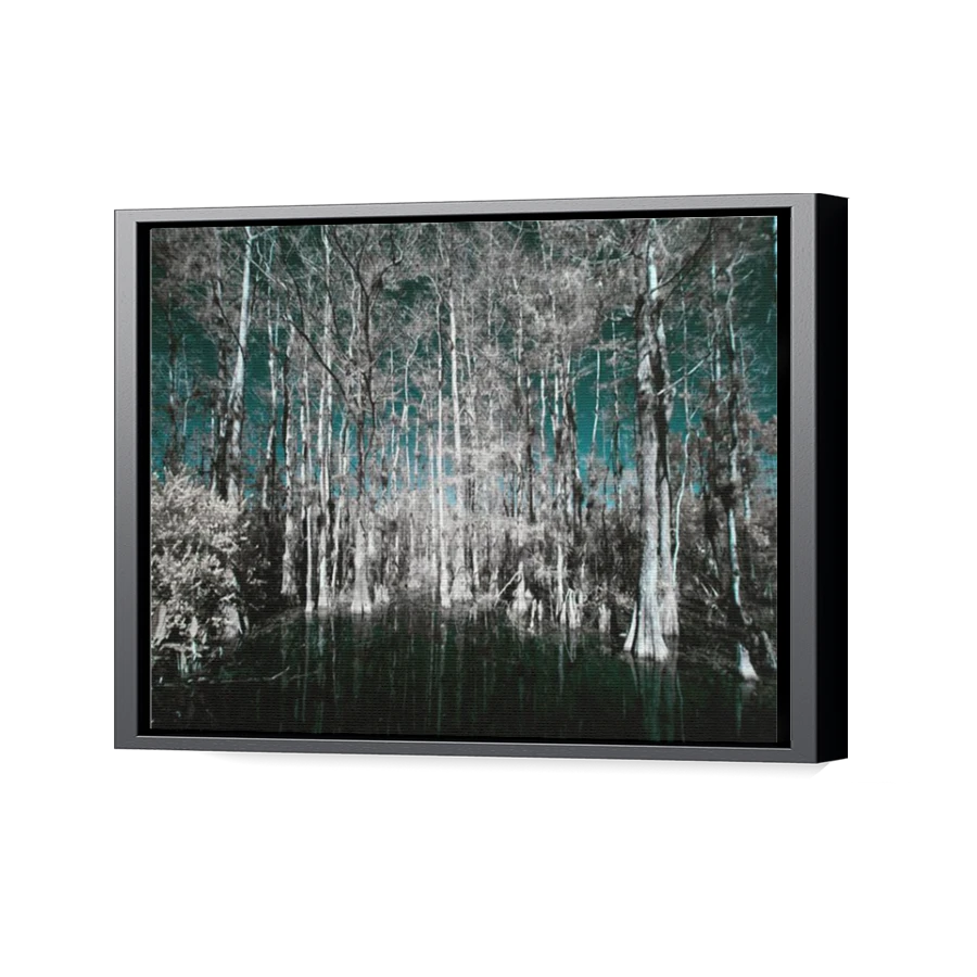 Thumbnail for Canvas - Black Floating Frame