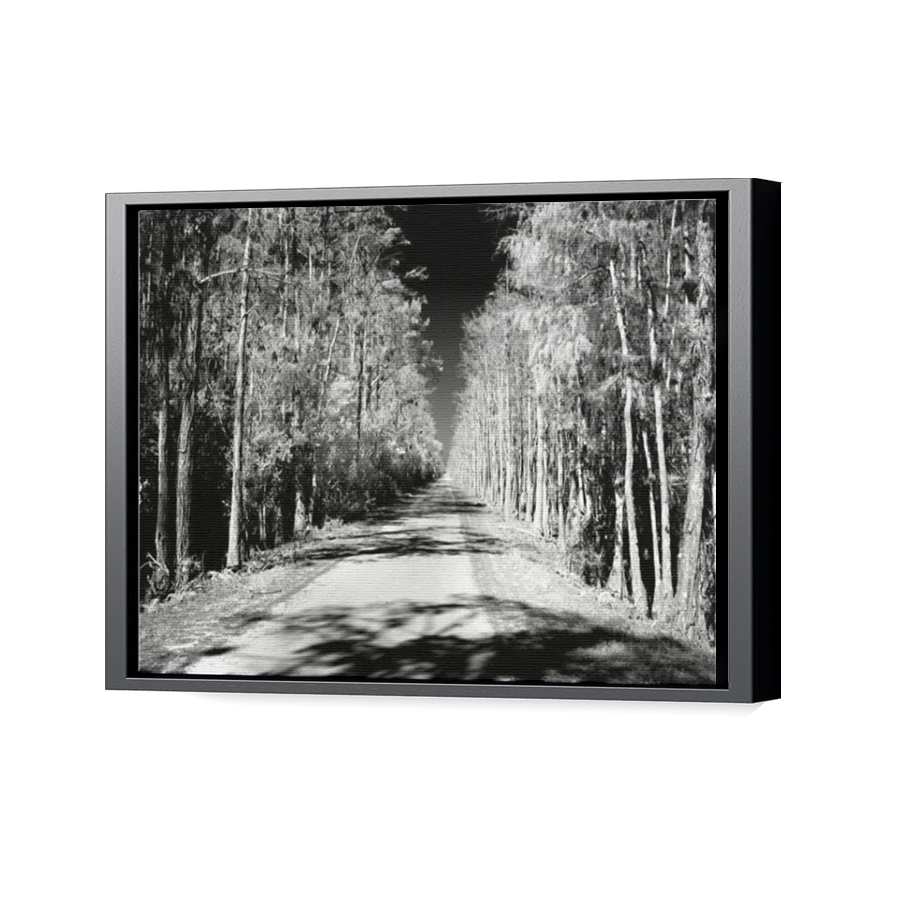 Thumbnail for Canvas - Black Floating Frame