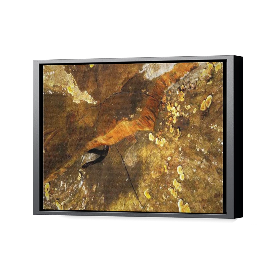 Thumbnail for Canvas - Black Floating Frame