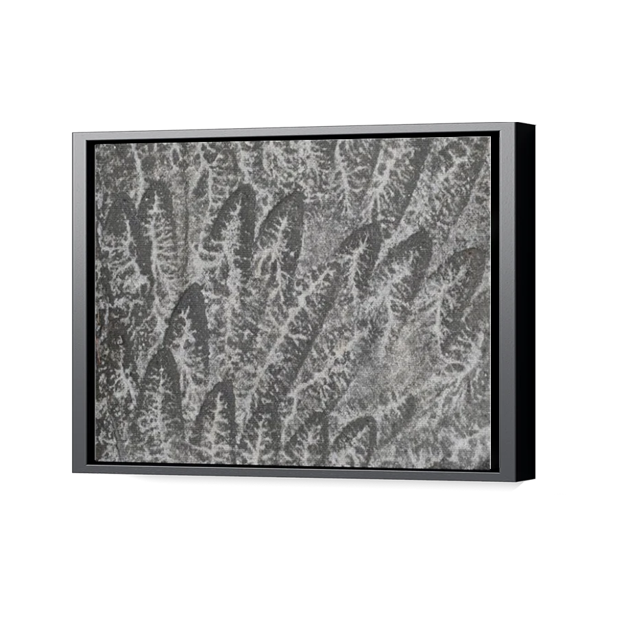 Thumbnail for Canvas - Black Floating Frame