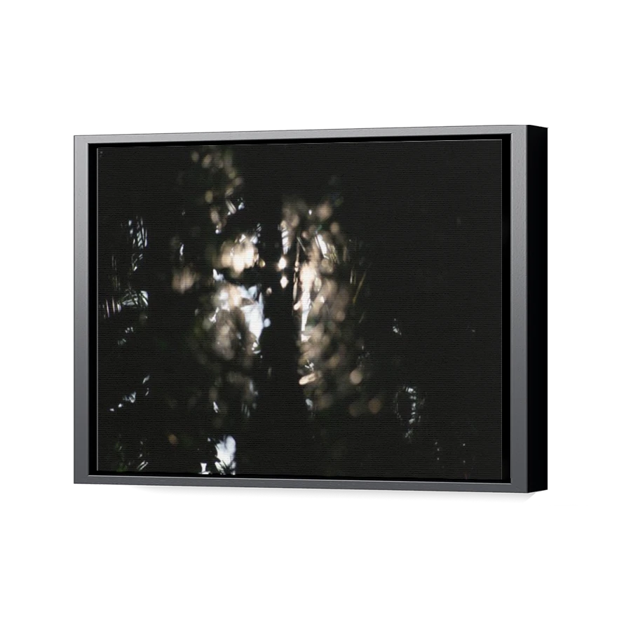 Thumbnail for Canvas - Black Floating Frame