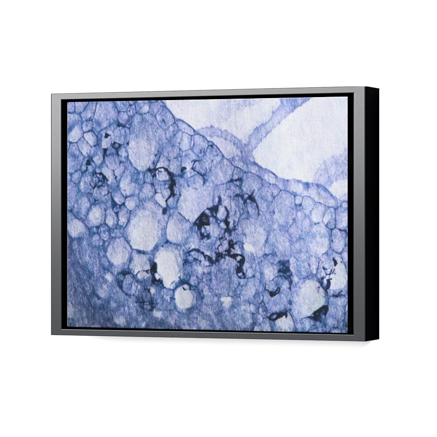 Thumbnail for Canvas - Black Floating Frame