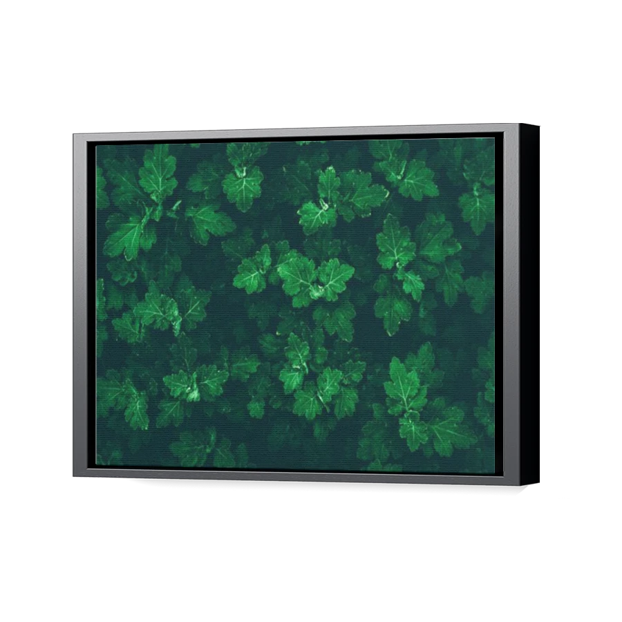 Thumbnail for Canvas - Black Floating Frame