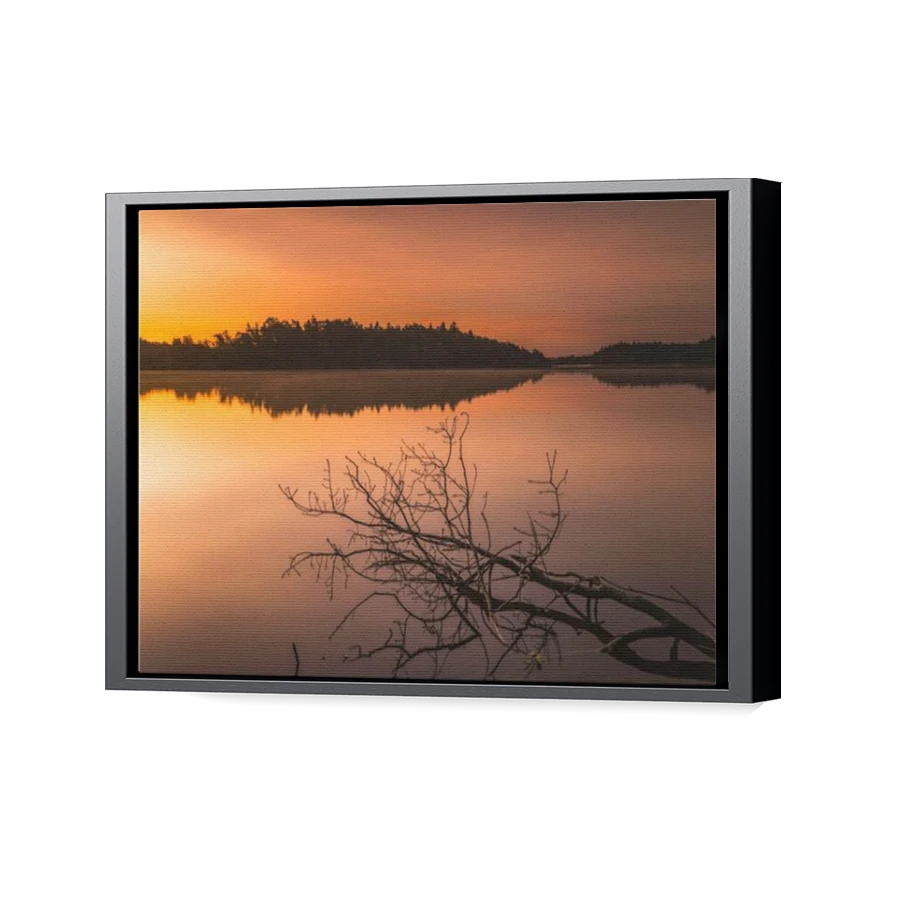 Thumbnail for Canvas - Black Floating Frame