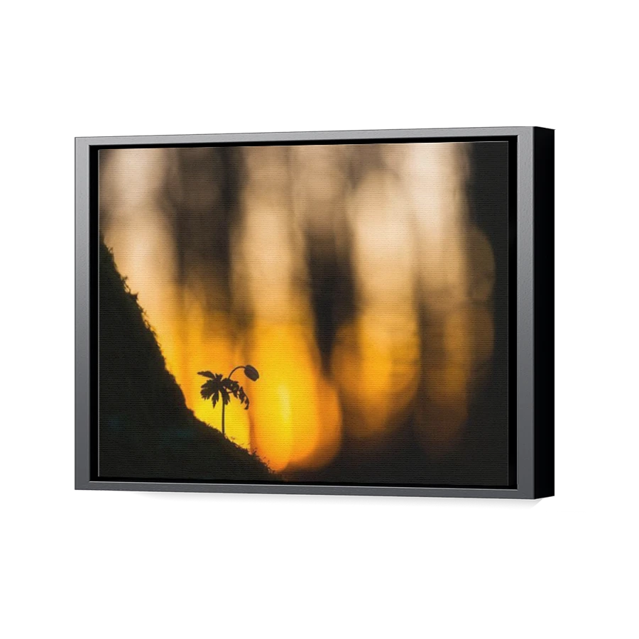 Thumbnail for Canvas - Black Floating Frame