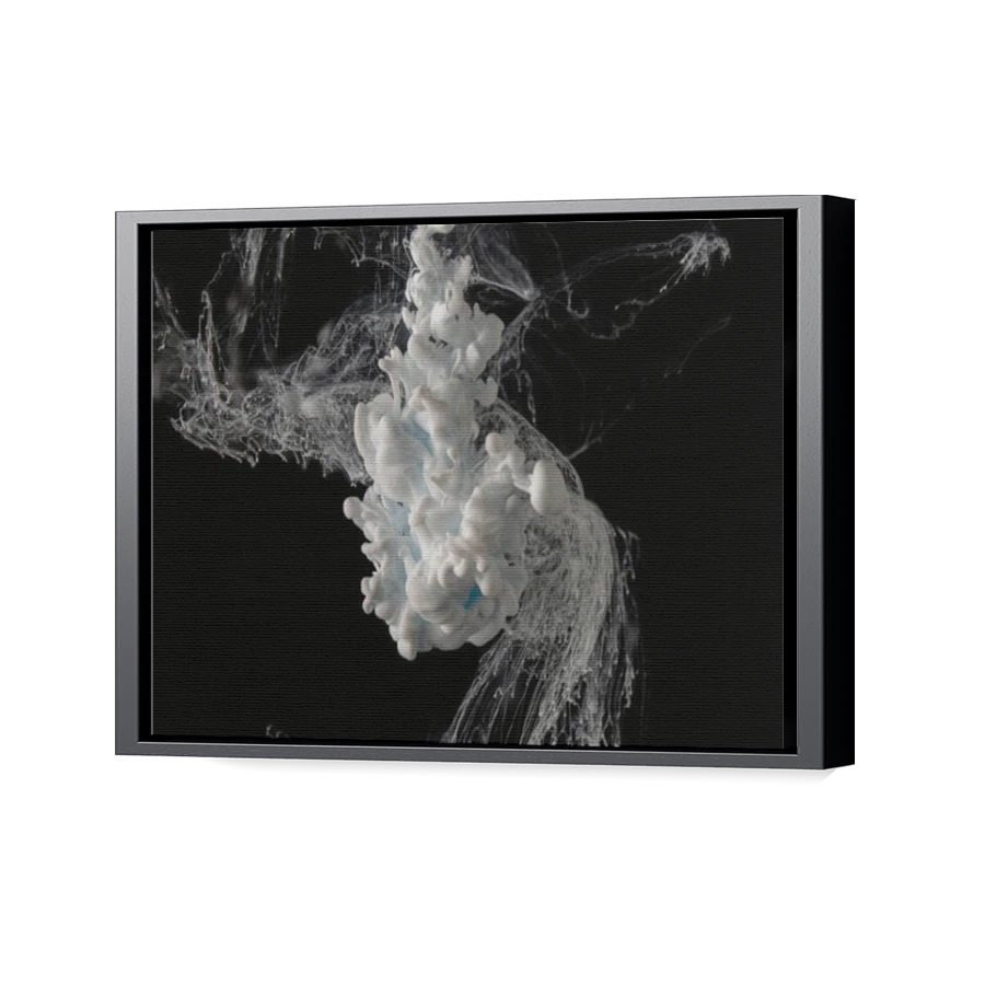 Thumbnail for Canvas - Black Floating Frame