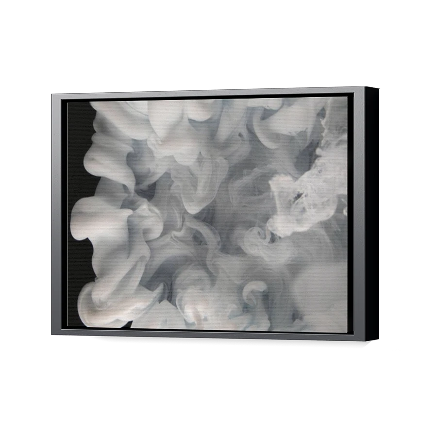 Thumbnail for Canvas - Black Floating Frame