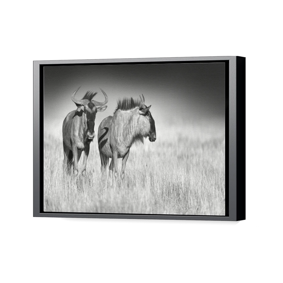 Thumbnail for Canvas - Black Floating Frame