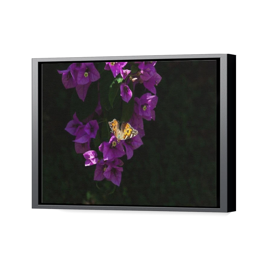 Thumbnail for Canvas - Black Floating Frame