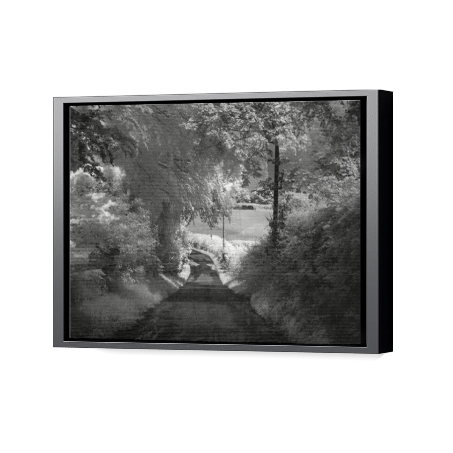 Thumbnail for Canvas - Black Floating Frame